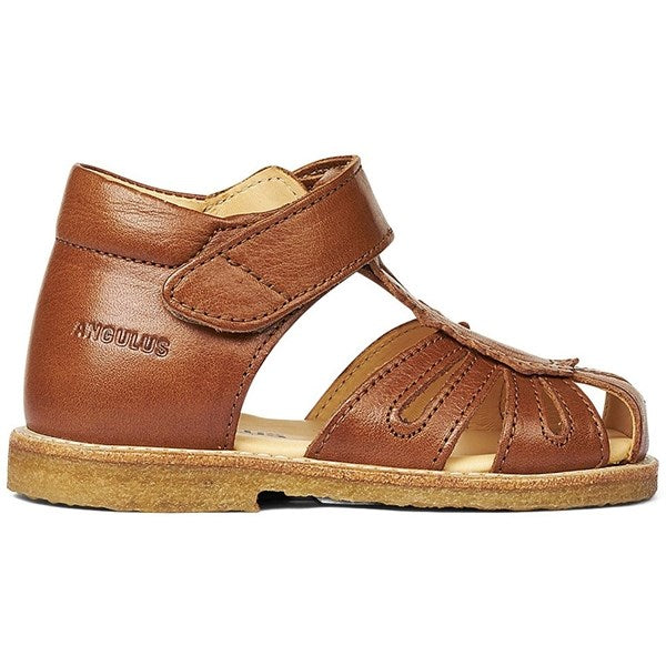 Angulus Begyndersandal M. Velcrolukning Cognac
