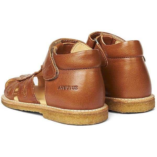 Angulus Begyndersandal M. Velcrolukning Cognac