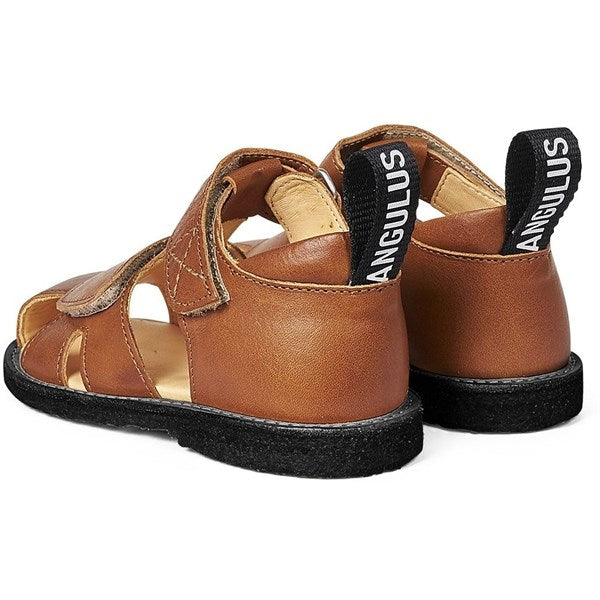 Angulus Begyndersandal M. Velcrolukning Cognac
