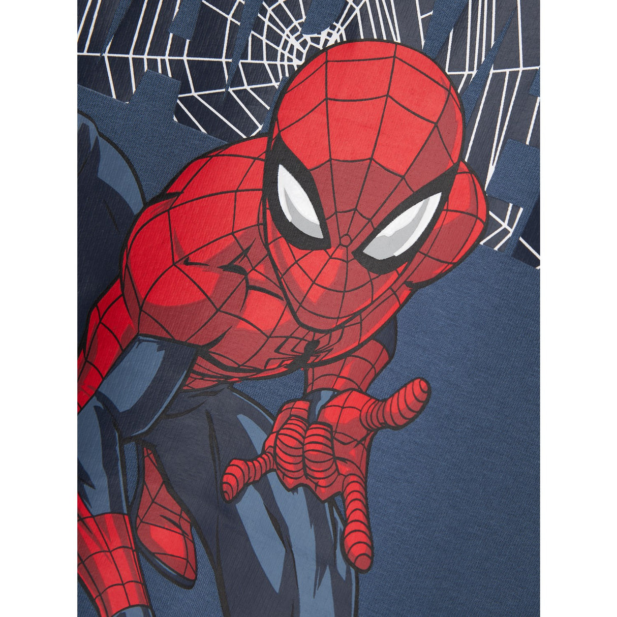 Name It Bering Sea Asist Spider Sweatshirt