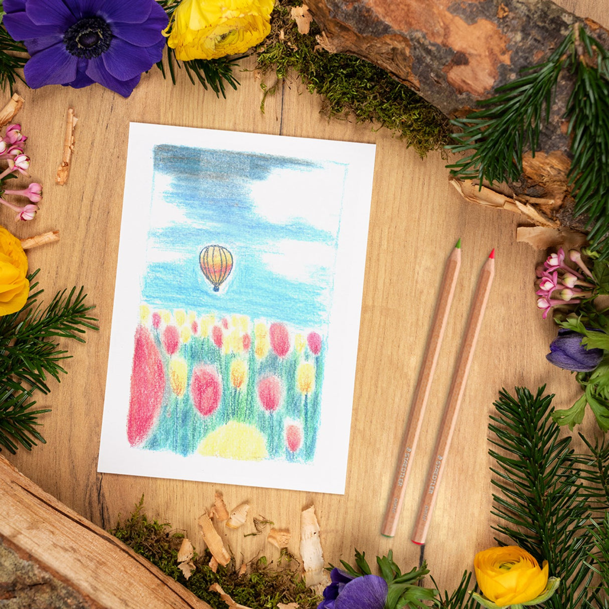 Staedtler Farveblyanter Pastel Line Hexagonal