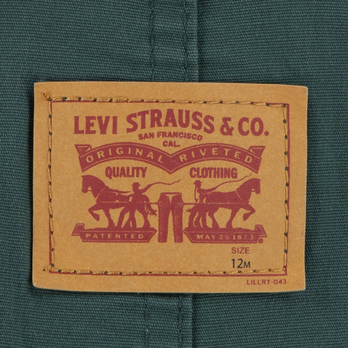 Levi's GREEN Carpenter Overalls