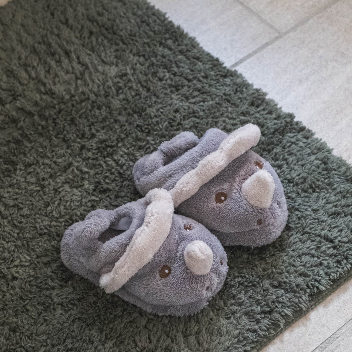 That's Mine Dino Miles Slippers