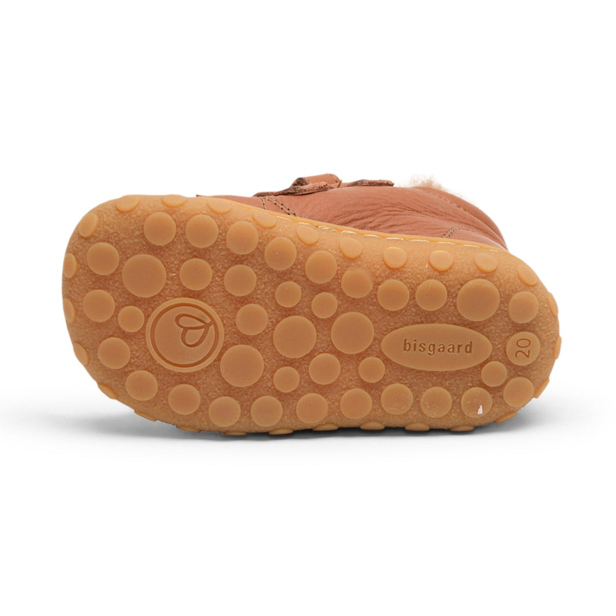 Bisgaard Brandy Hale V Lamb Begyndersko