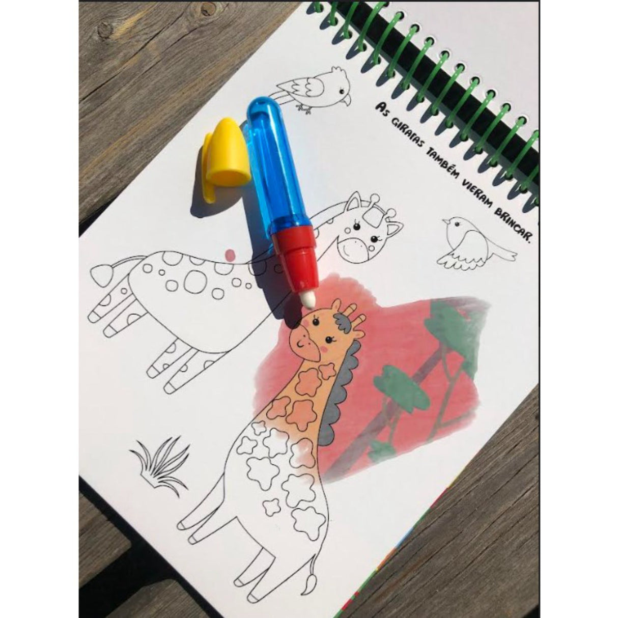 Forlaget Bolden Magisk Malebog: Vilde Dyr