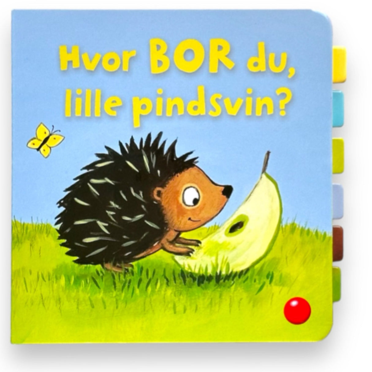 Forlaget Bolden Hvor Bor Du, Lille Pindsvin?