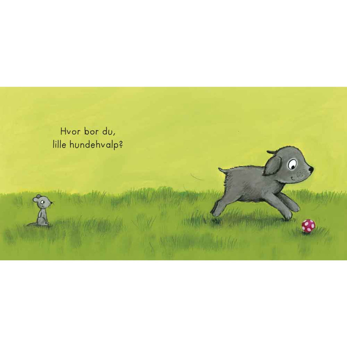 Forlaget Bolden Hvor Bor Du, Lille Pindsvin?