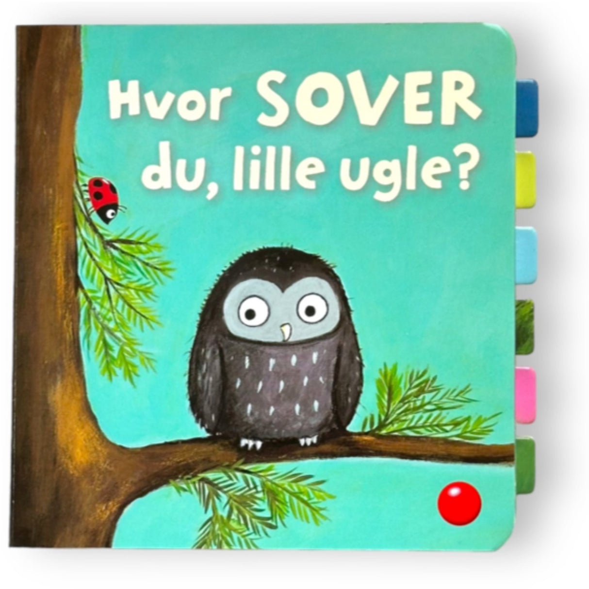 Forlaget Bolden Hvor Sover Du, Lille Ugle?