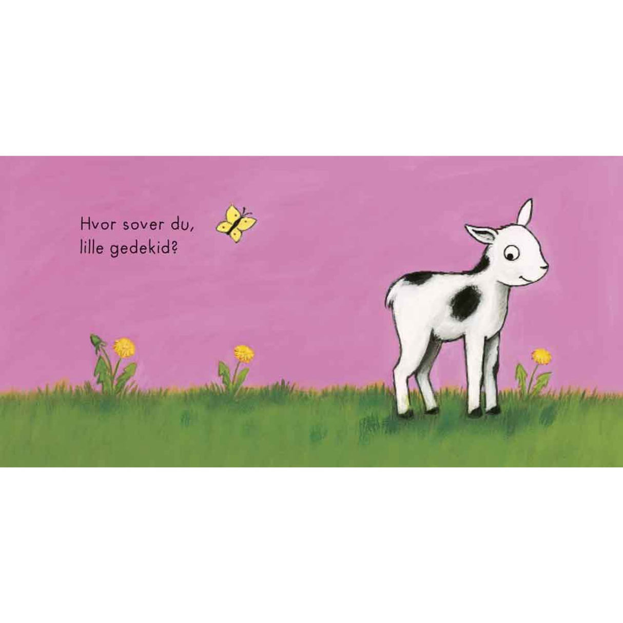 Forlaget Bolden Hvor Sover Du, Lille Ugle?