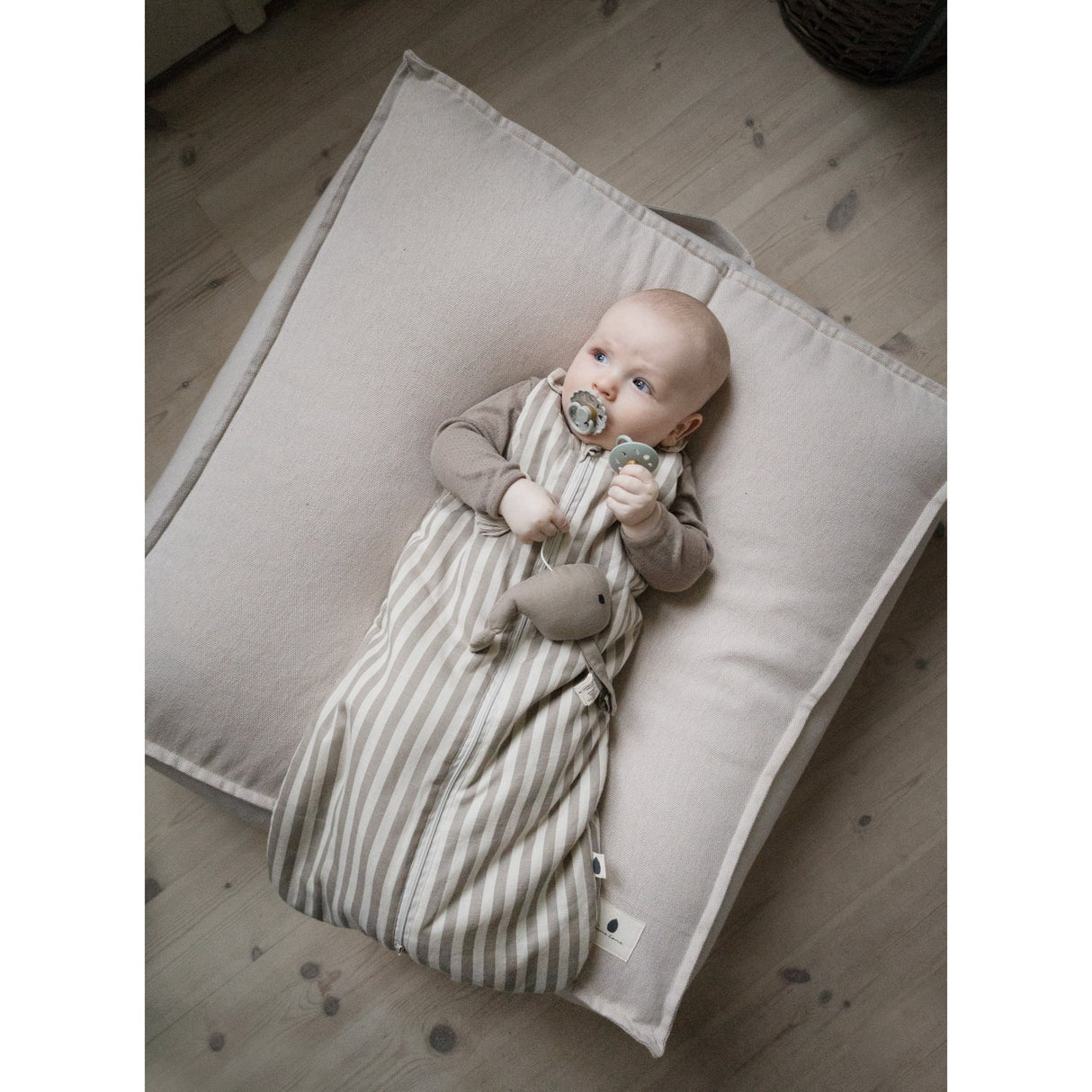 Pine Cone Mushroom Stripe Sovepose