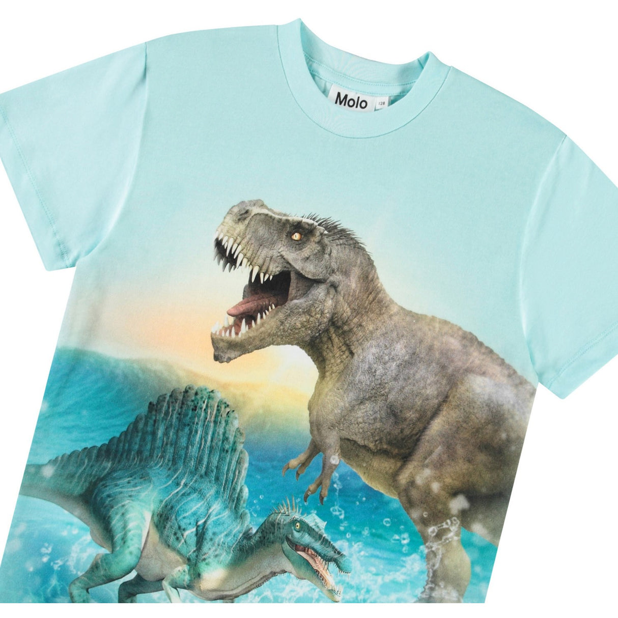 Molo Dino Splash Roxo T-Shirt