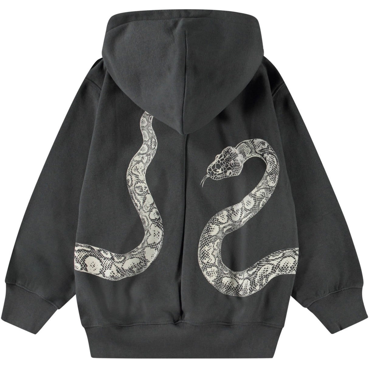 Molo Unexplored Mazzo Hættetrøje