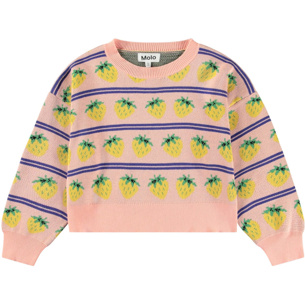 Molo Nature Fruits Gerrie Jumper