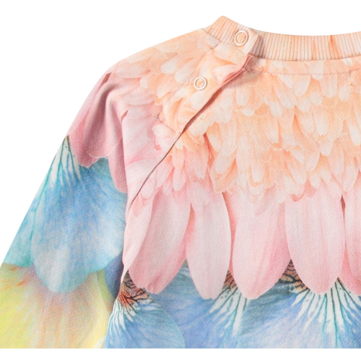 Molo Petal Rainbow Disc Sweatshirt