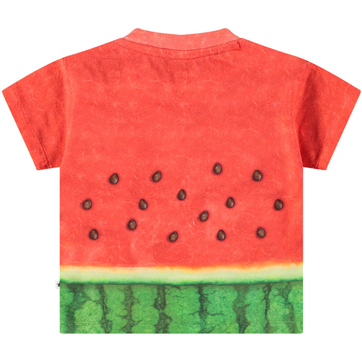 Molo Be A Melon Enzo T-Shirt