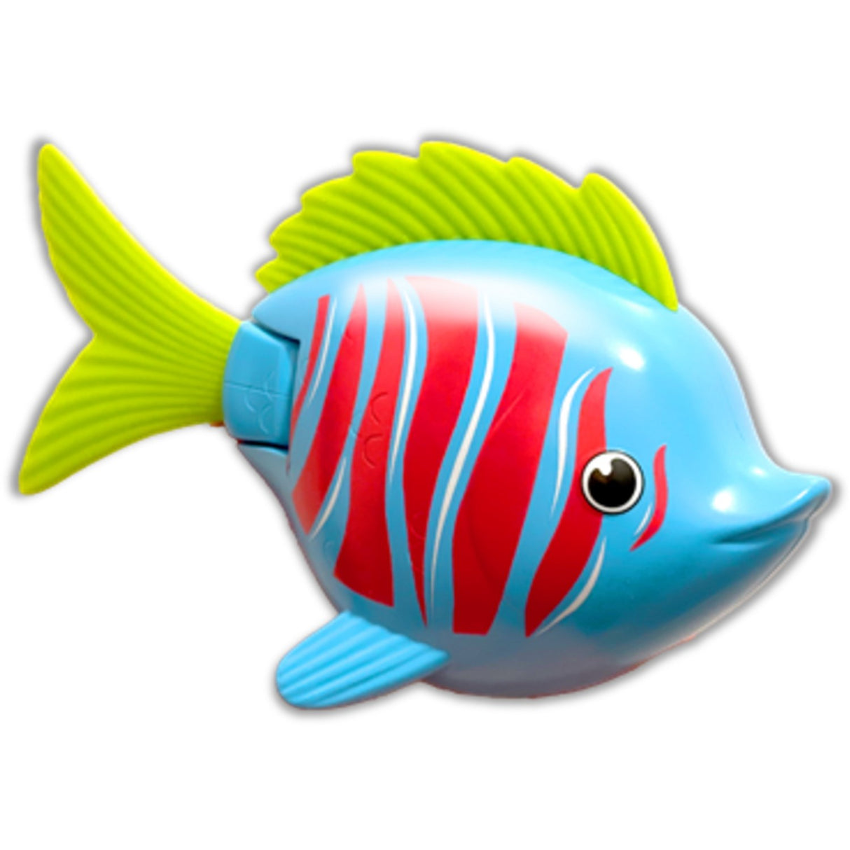 Rainbow Reef Fish Betafisk