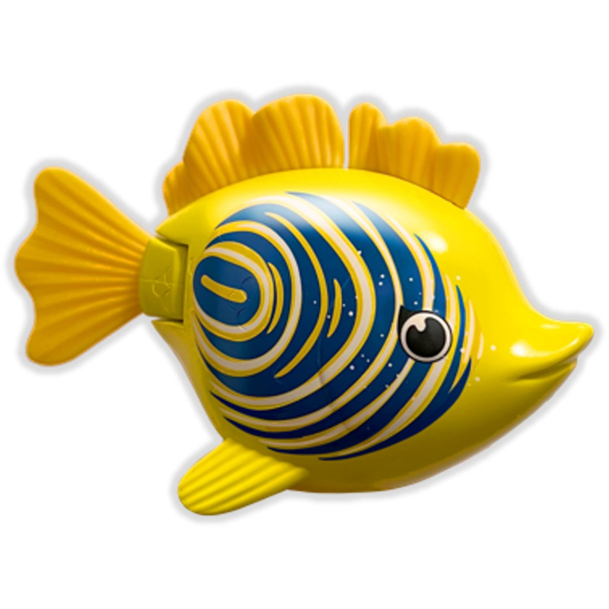 Rainbow Reef Fish Zebrafisk