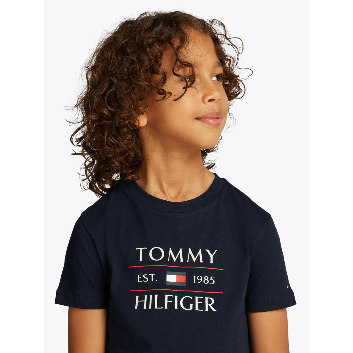 Tommy Hilfiger Dark Night Navy Flag Reg T-Skjorte
