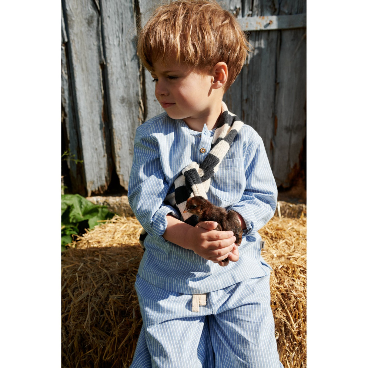 Wheat Blue Stripe Skjorte Bjørk