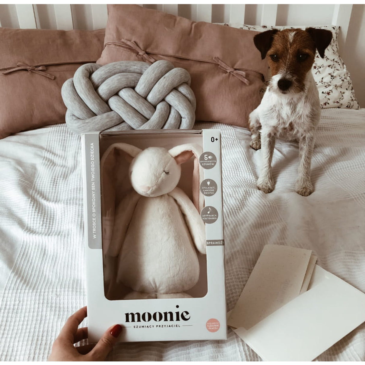 Moonie Powder 2.0 The Humming Friend