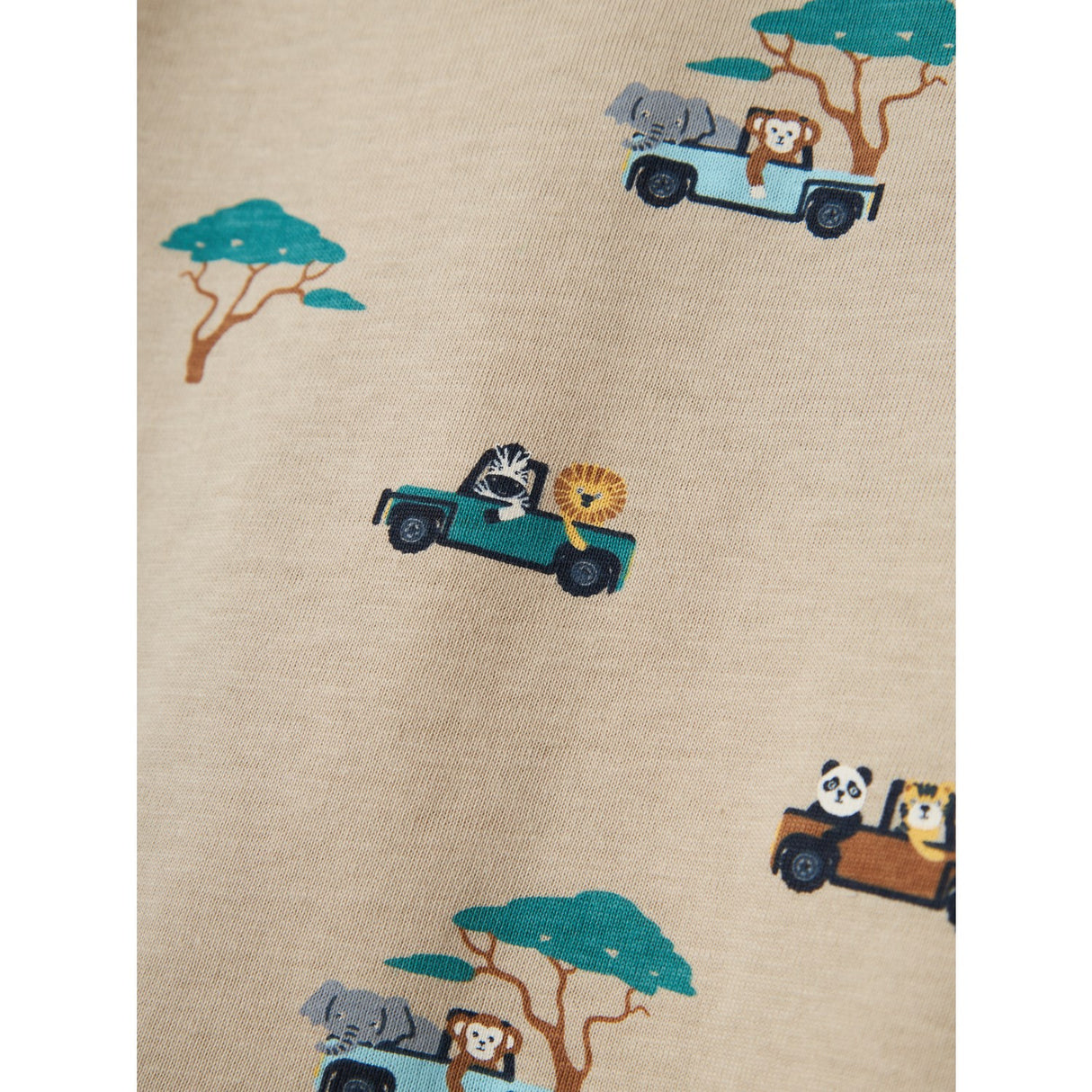 Name It Island Fossil Nmmjivan Ss Nreg Top Pb