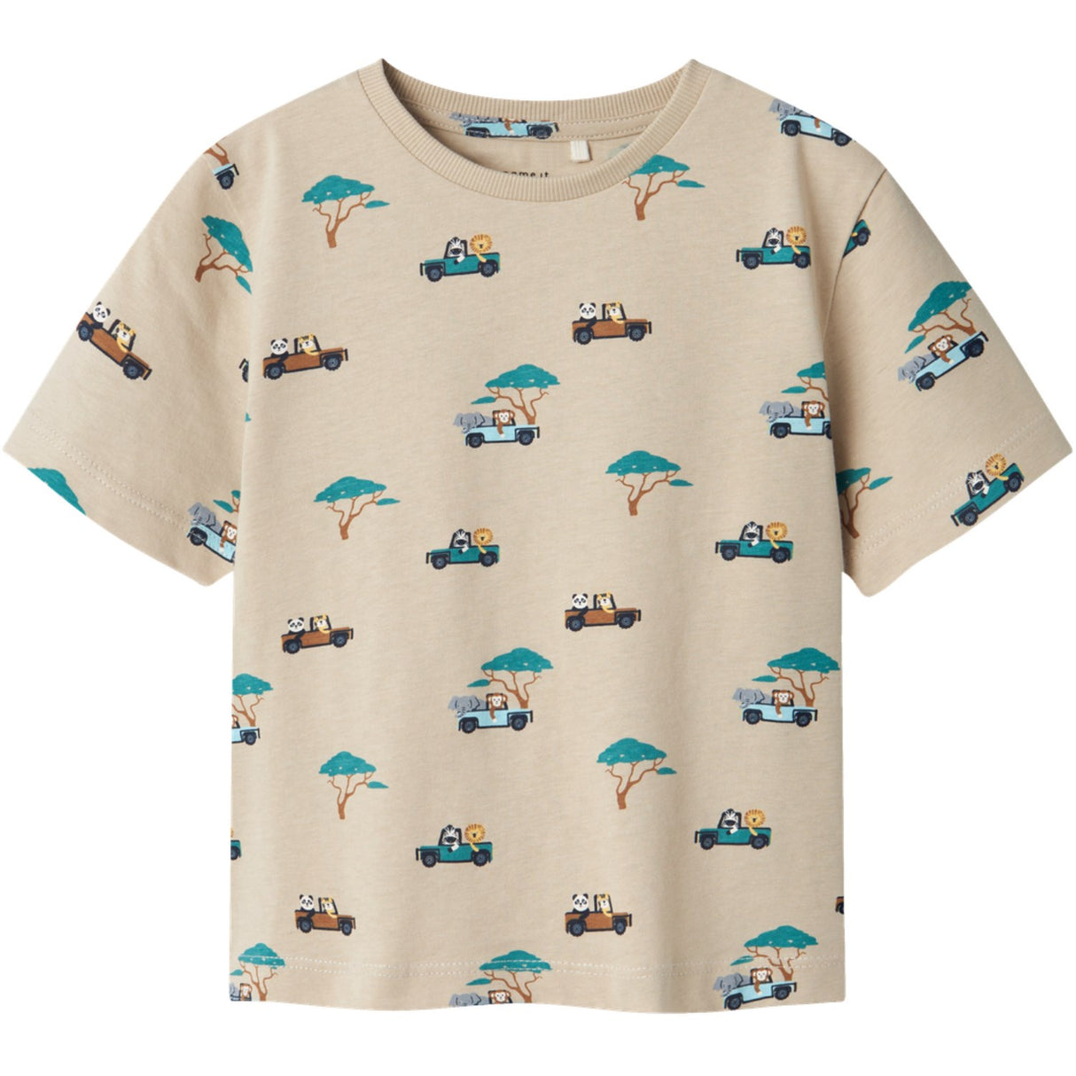 Name It Island Fossil Nmmjivan Ss Nreg Top Pb