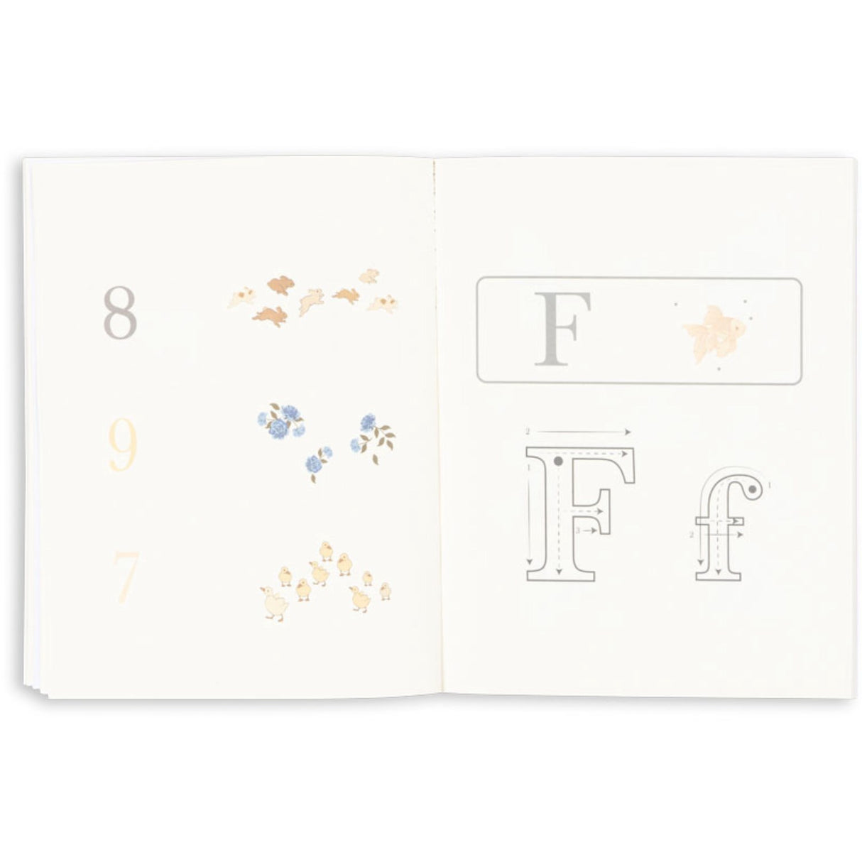 Konges Sløjd Multi Aktivitetsbog Med Farveblyanter