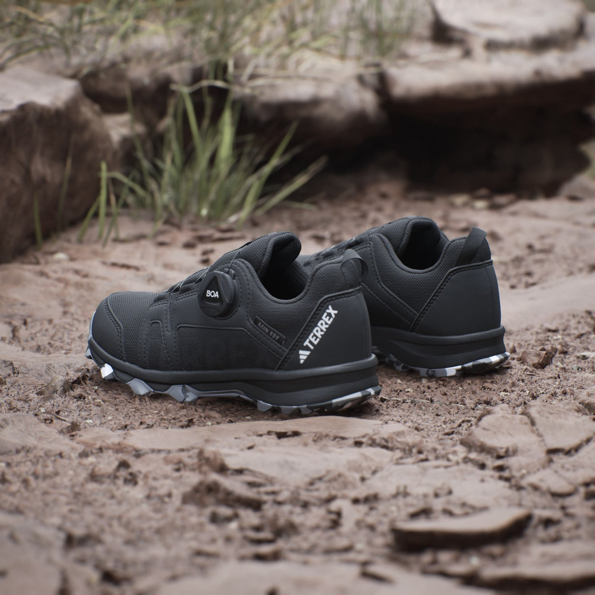 adidas Originals Core Black/Ftwr White/Grey Three Terrex Agravic Boa R.Rdy K Sko