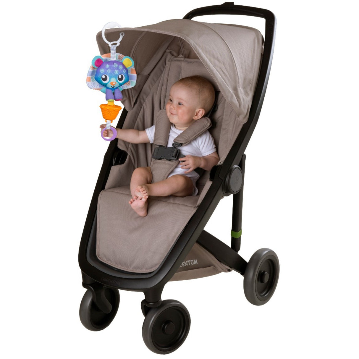 PlayGro Bjørn Med Musik