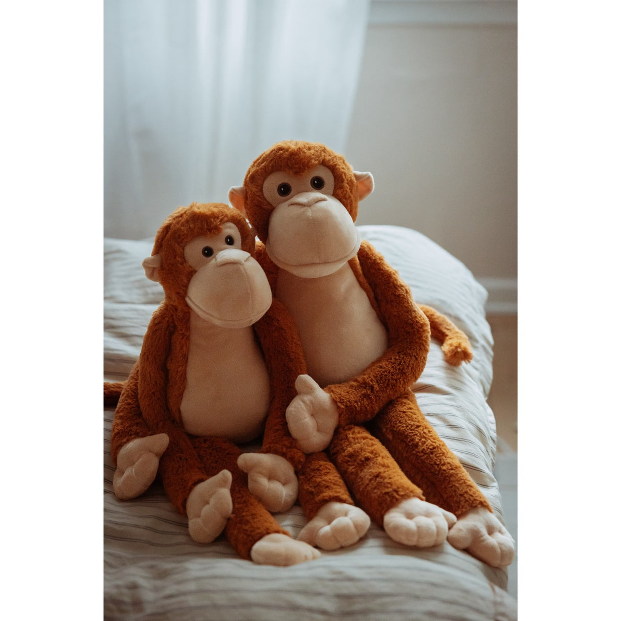 by Astrup Tyngdedyr, Abe, 1,8 Kg.