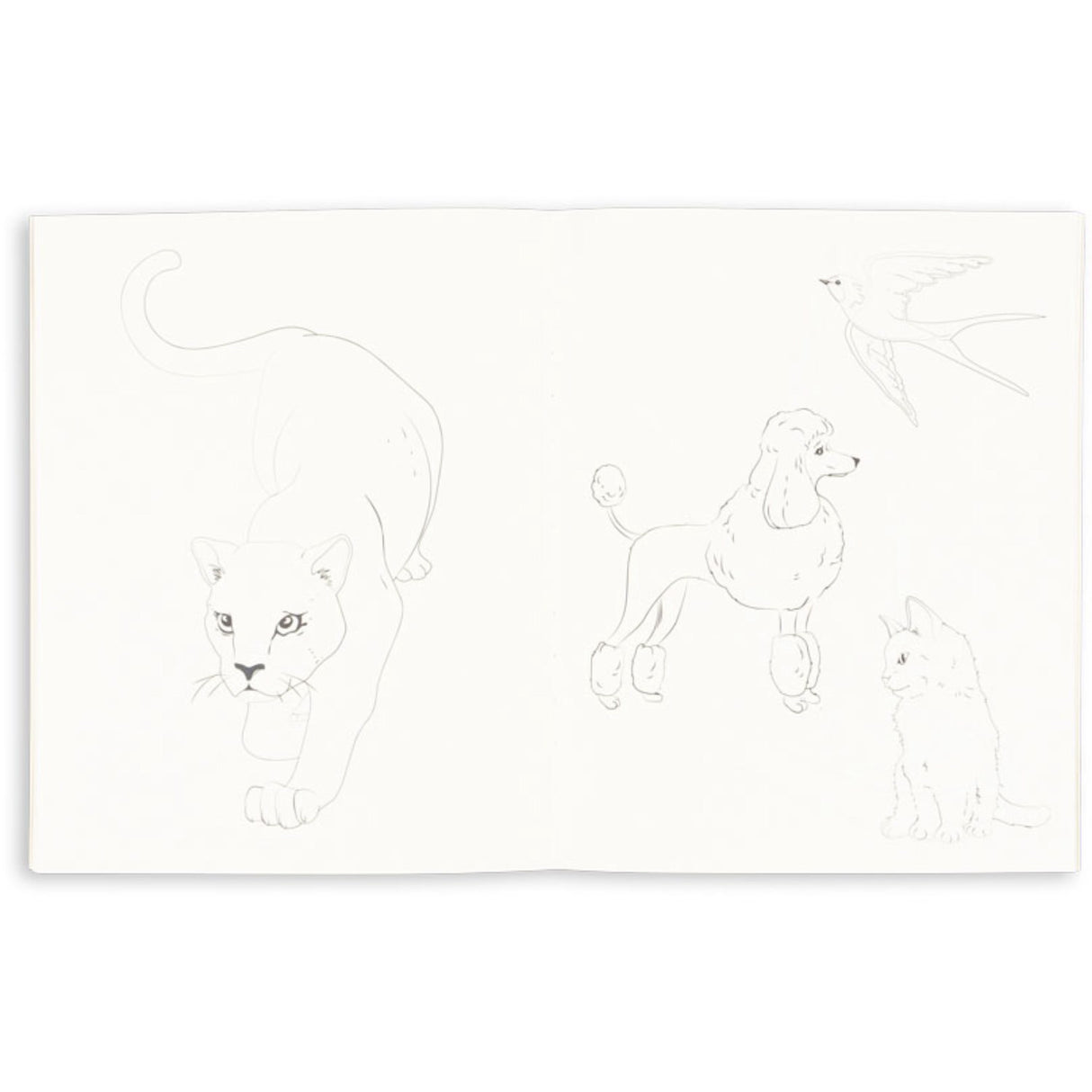 Konges Sløjd Green Tea Check Malebog og Farveblyanter Fsc