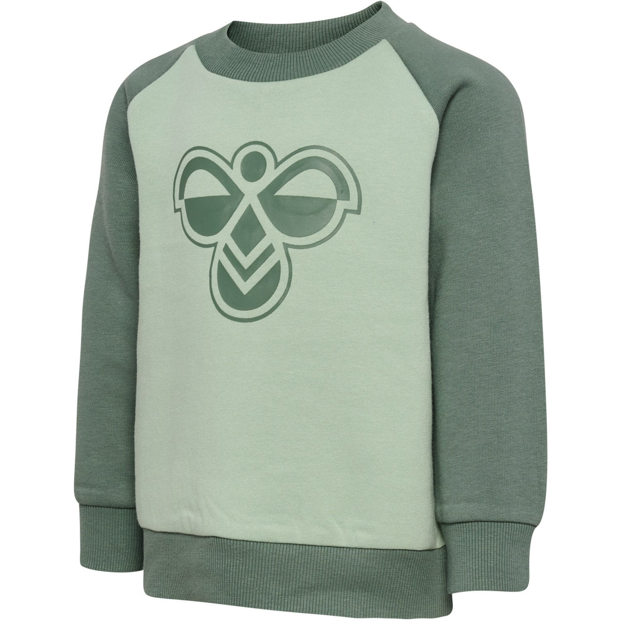 Hummel Laurel Wreath Mini Reg Bumble Sweat Sæt