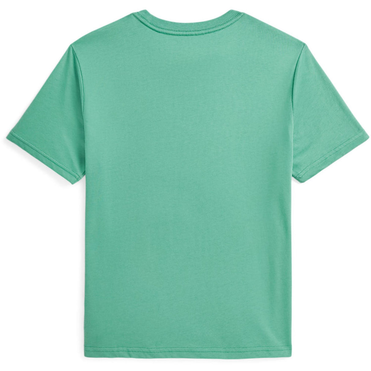 Polo Ralph Lauren Bear Haven Green Boy T-Shirt