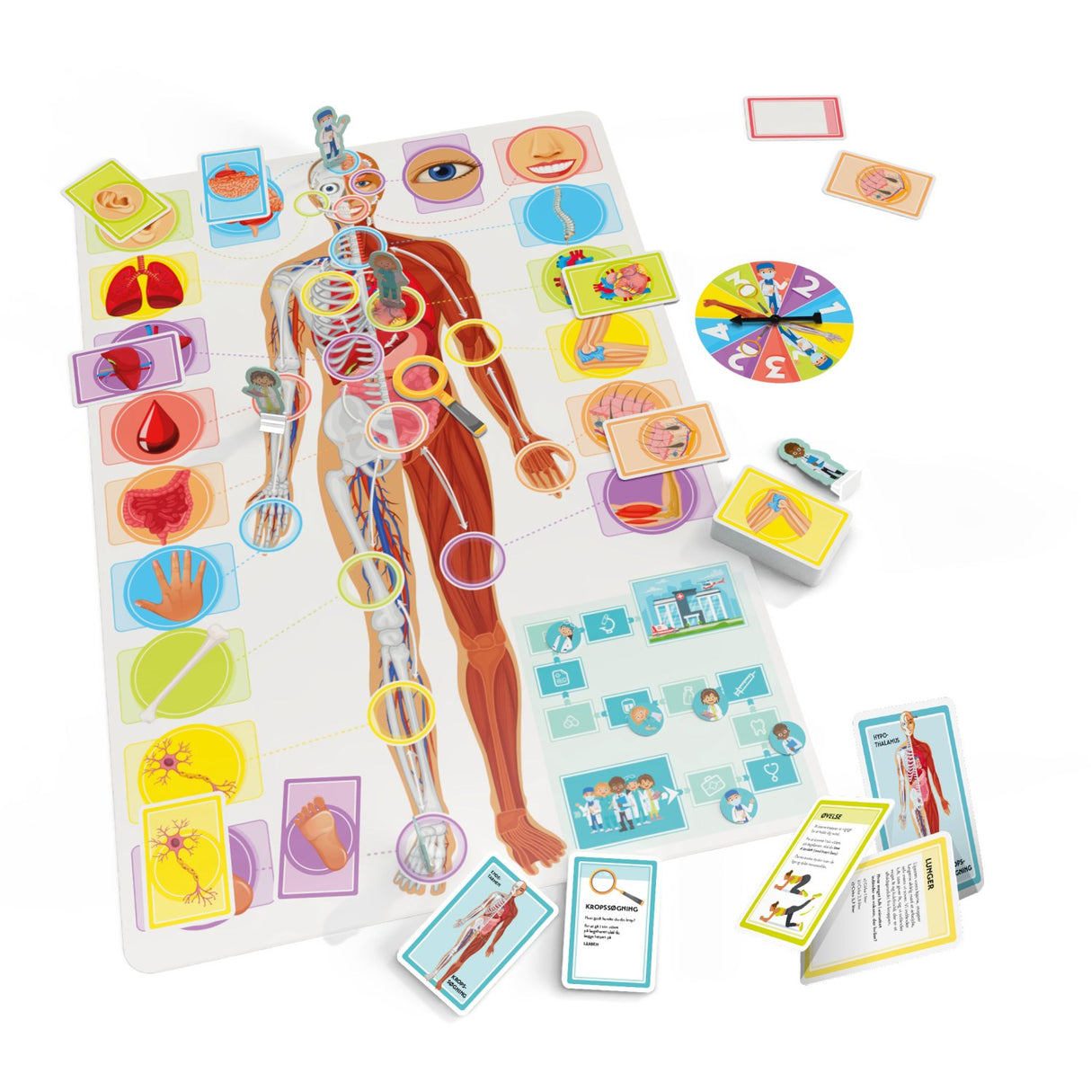 Tactic Games Lær Om Din Fantastiske Krop