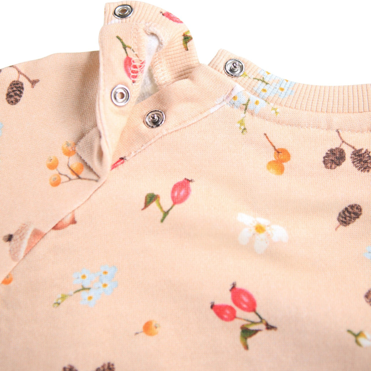 Molo Foraging Rose Disc Sweatshirt