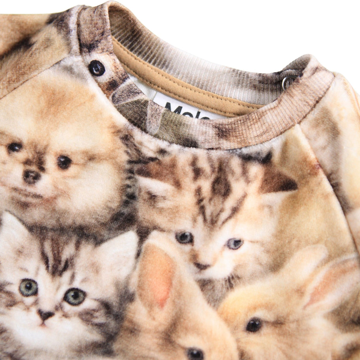 Molo Fuzzy Fluffy Disc Sweatshirt