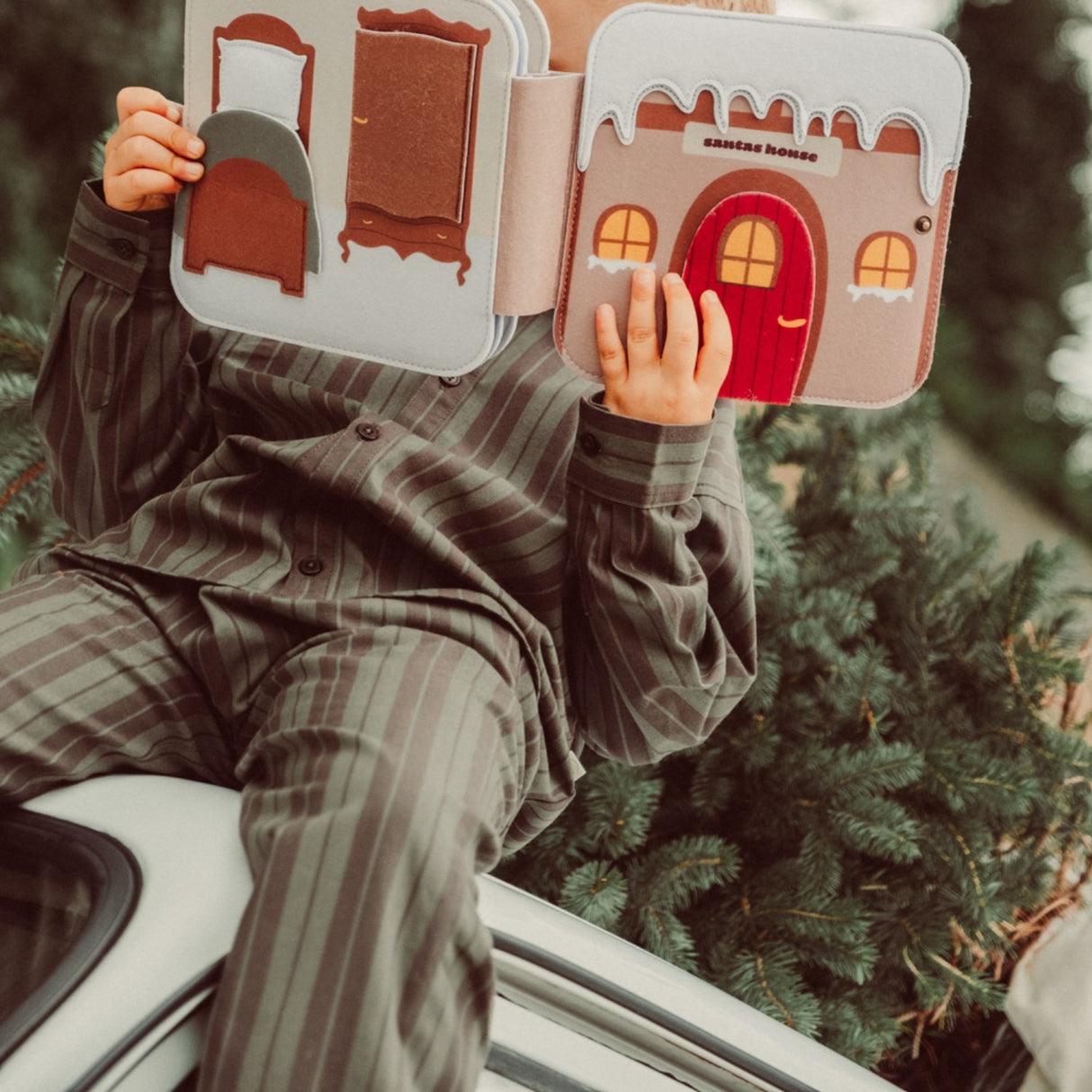 That's Mine Christmas Bear Emory Felt Activity Bog