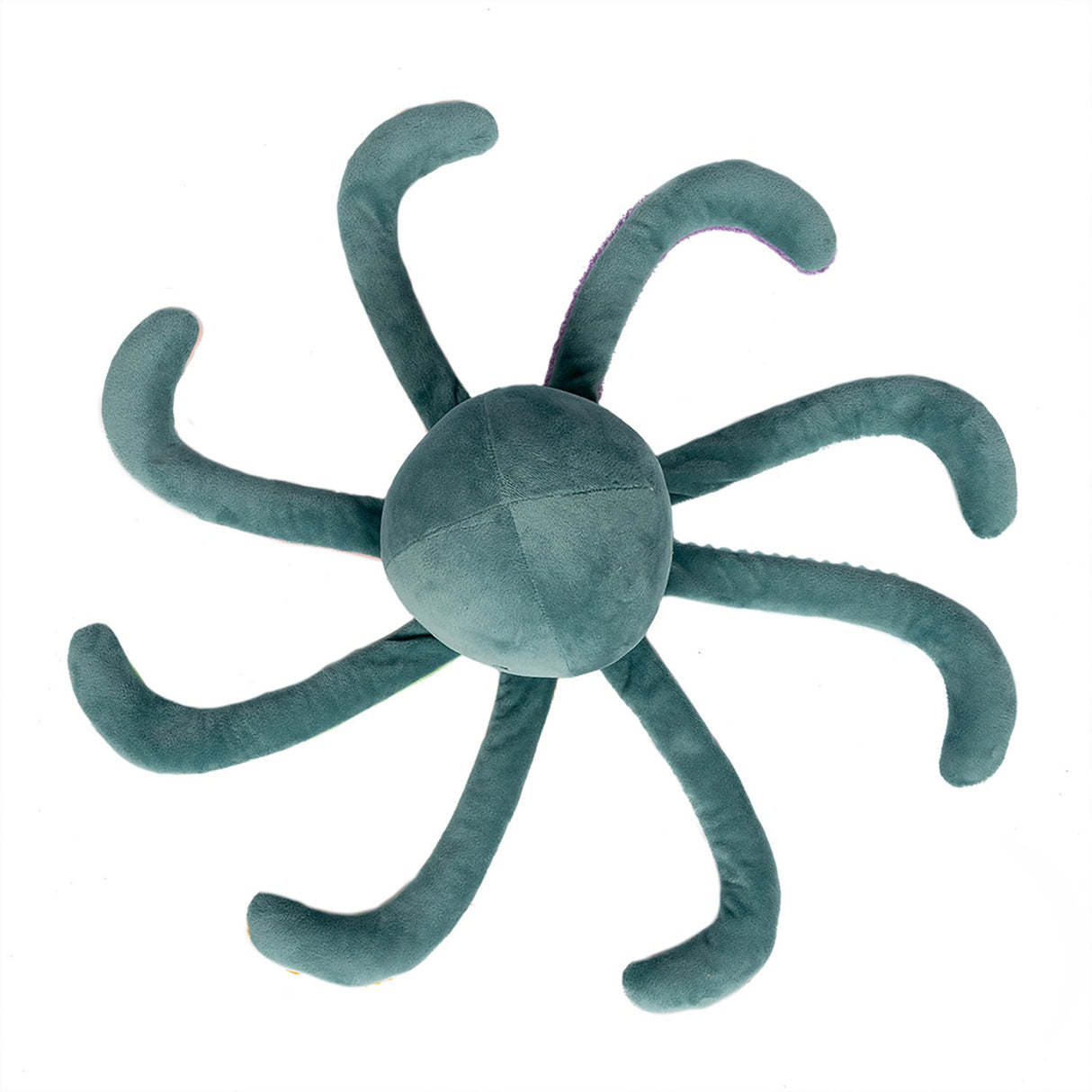 by Astrup Tyngdedyr, Blæksprutte, 1,2 Kg