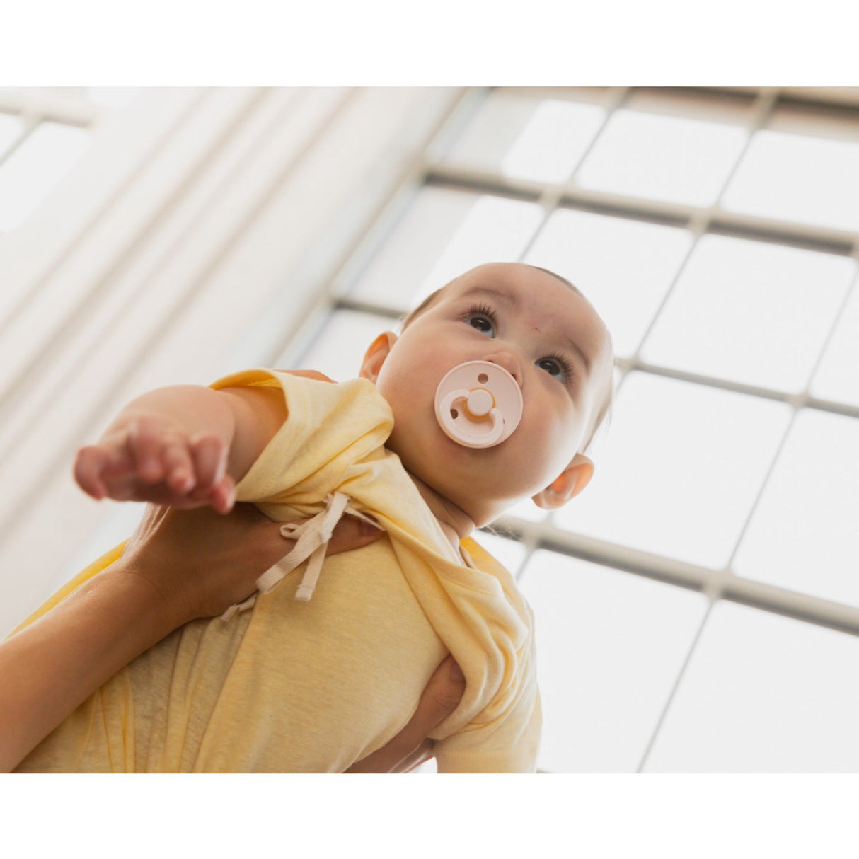 Bibs Blush Sut Studio Colour 2-Pak Fusion Latex Woodchuck Mix