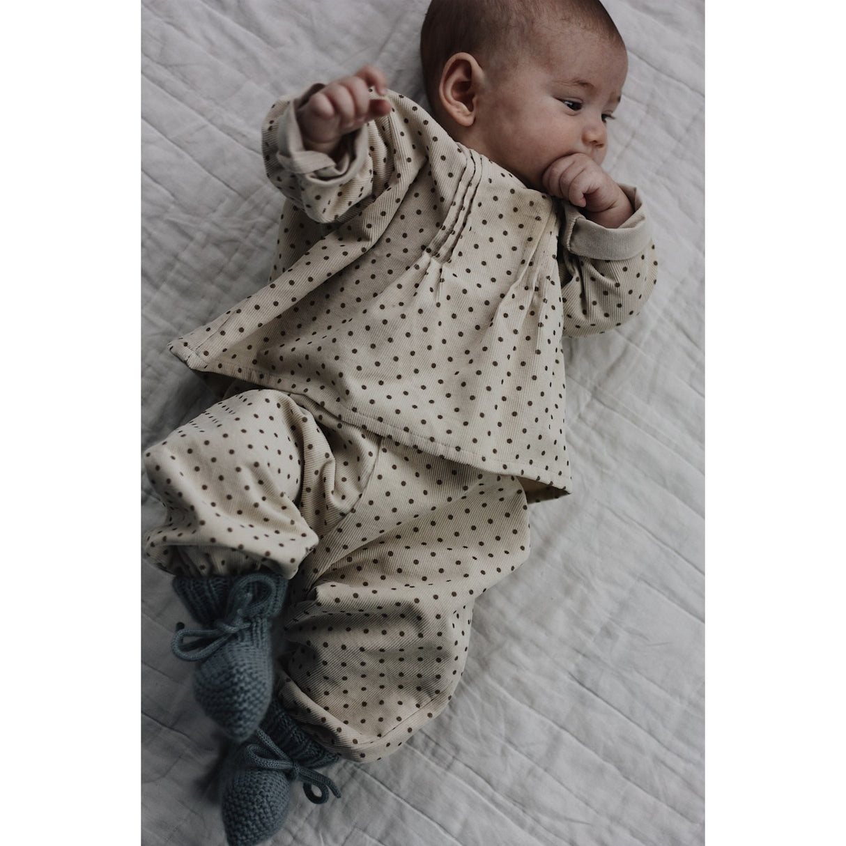 Lalaby Brown Dot Holly Top