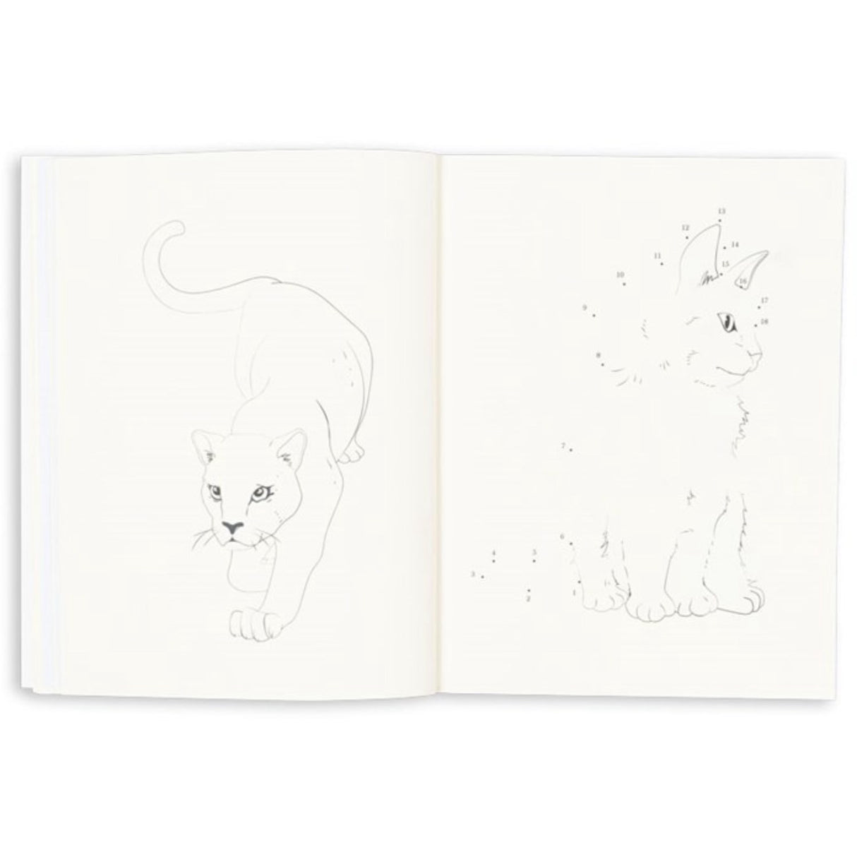 Konges Sløjd Multi Activity Bog Med Colouring Pencils