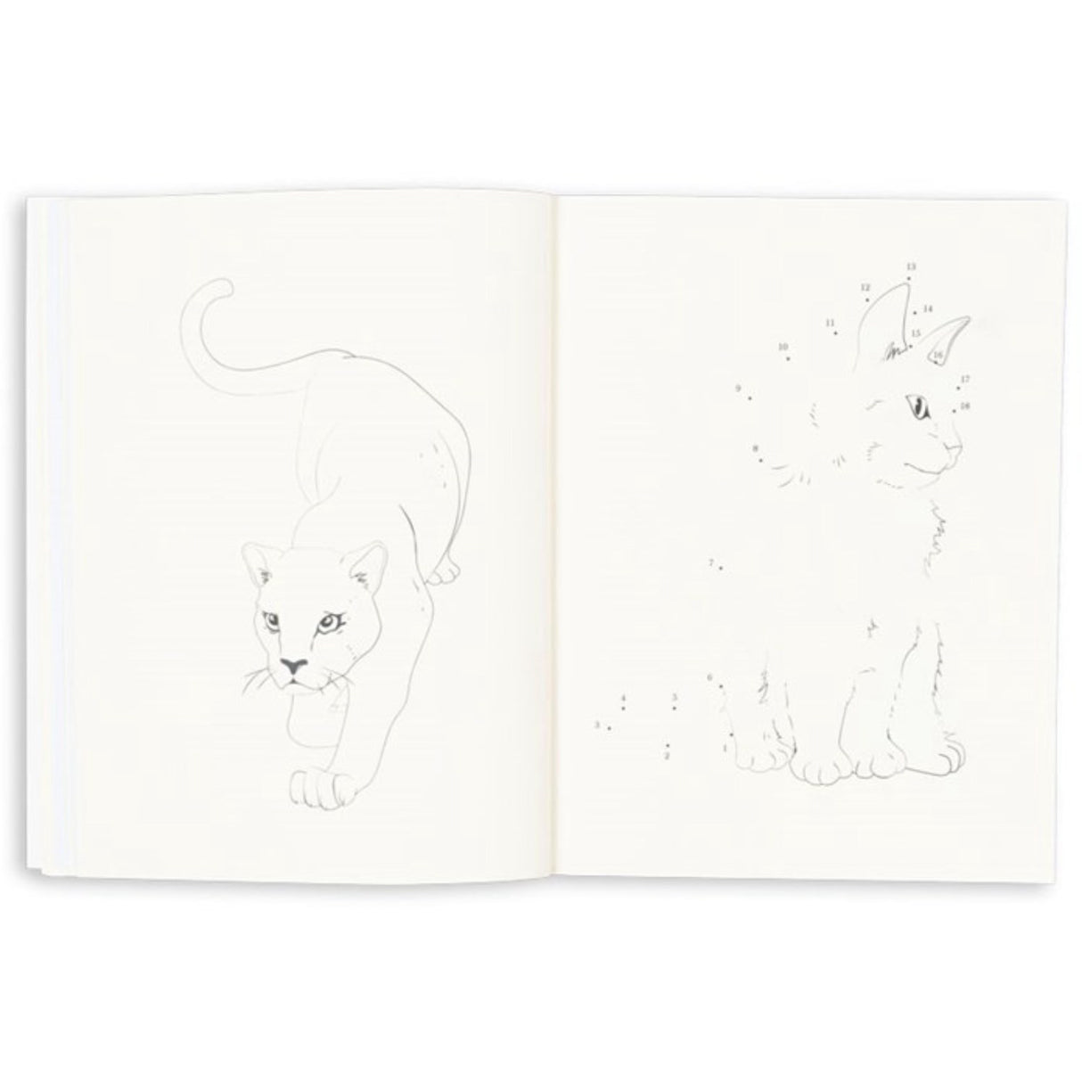 Konges Sløjd Multi Activity Bog Med Colouring Pencils