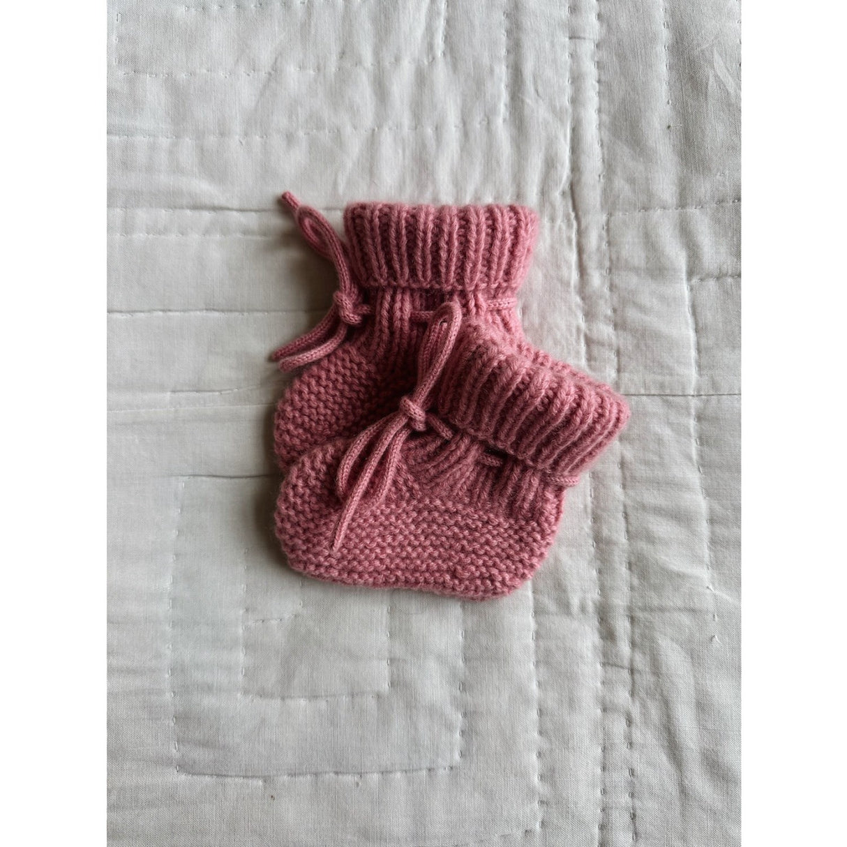 Lalaby Sorbet Alpha Futter