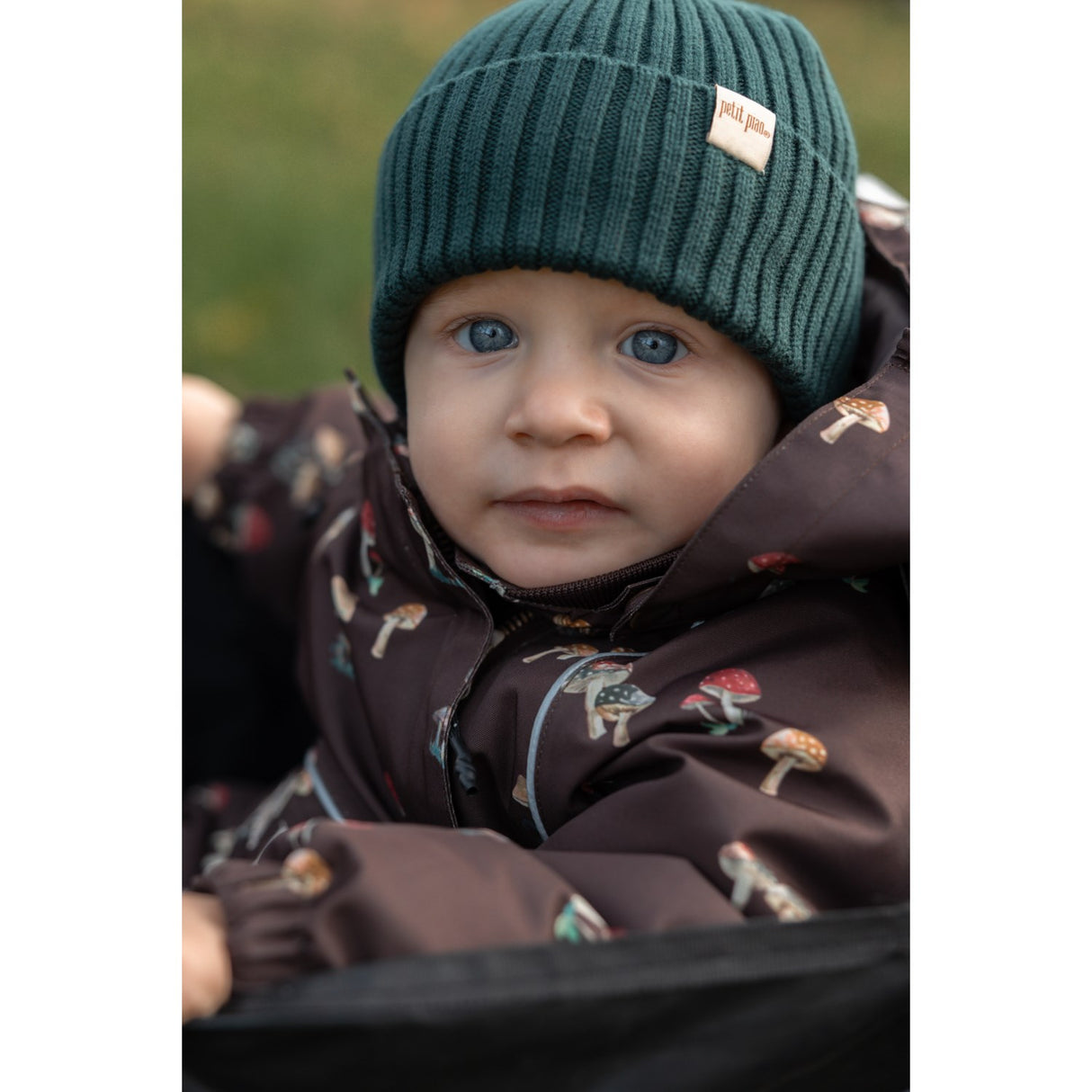 Petit Piao Fungi AOP PPDard Flyverdragt