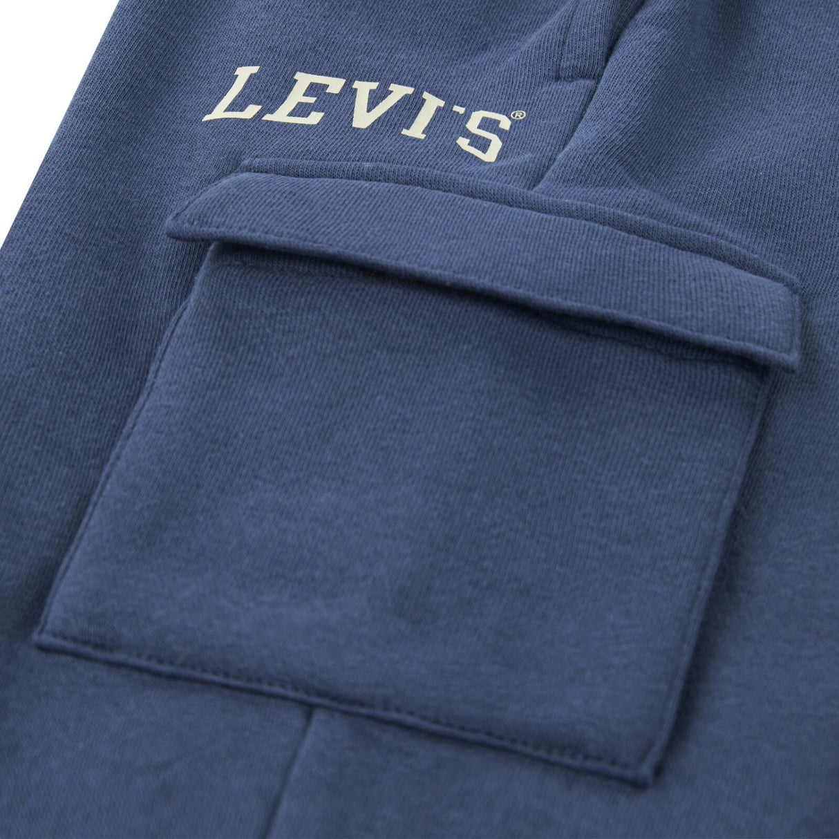Levi's Big Dipper Cargo Jogger