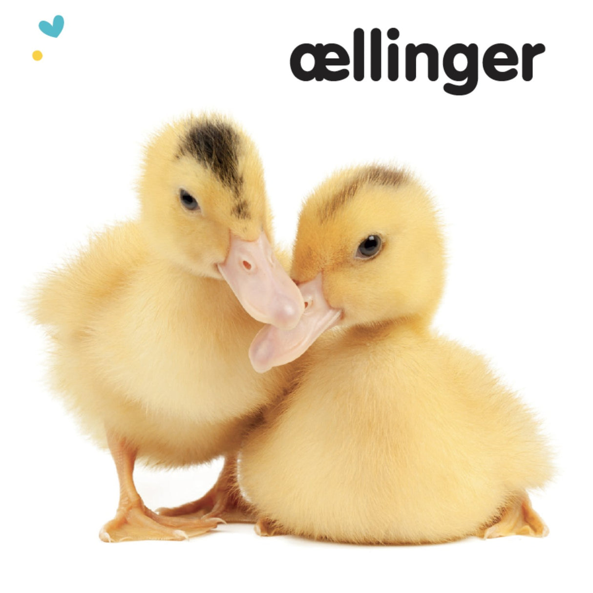 Forlaget Tukan Ryste-Ryste: Dyreunger