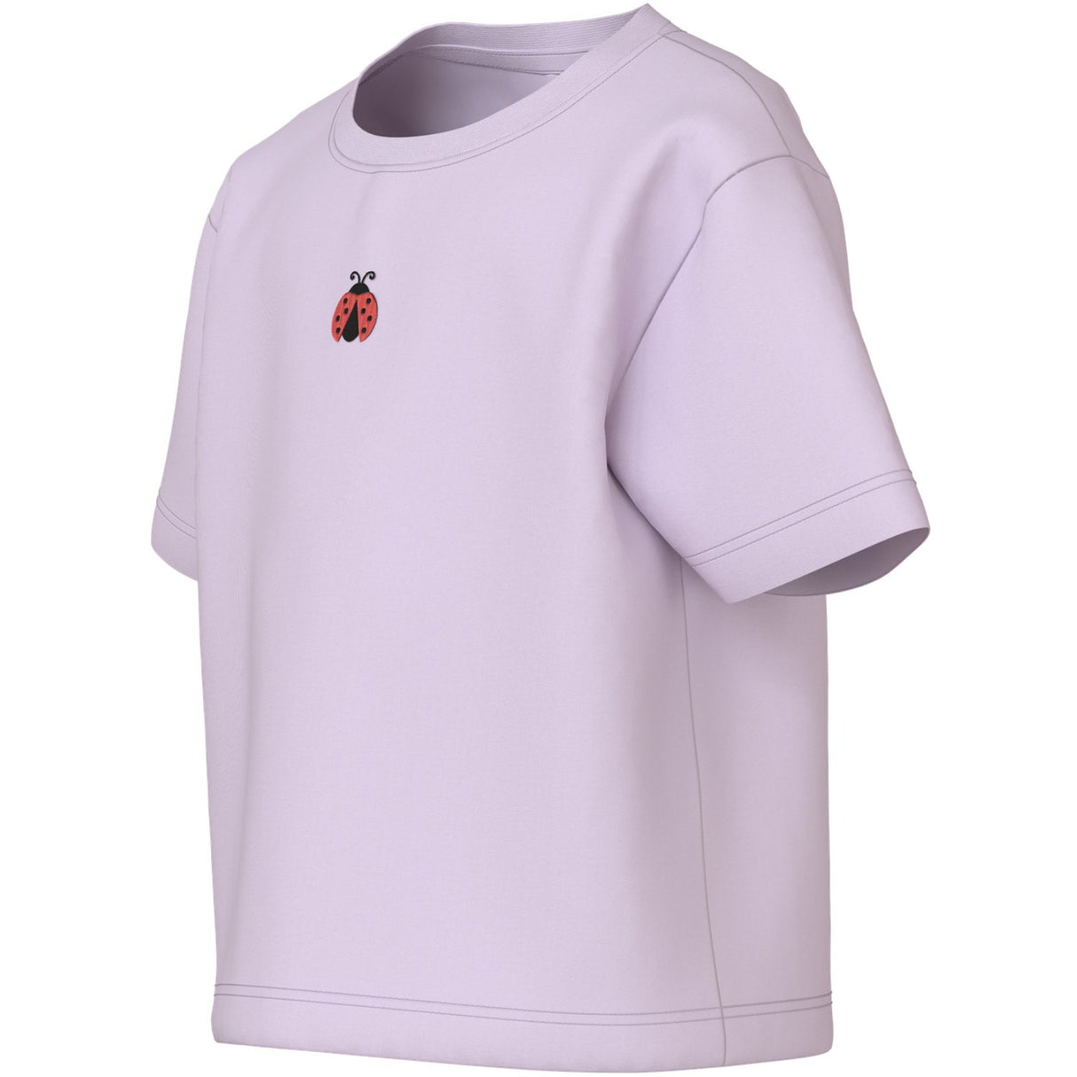 Name It Lavender Fog Ladybug Embroidery Nmfvictoria Ss Nreg Top