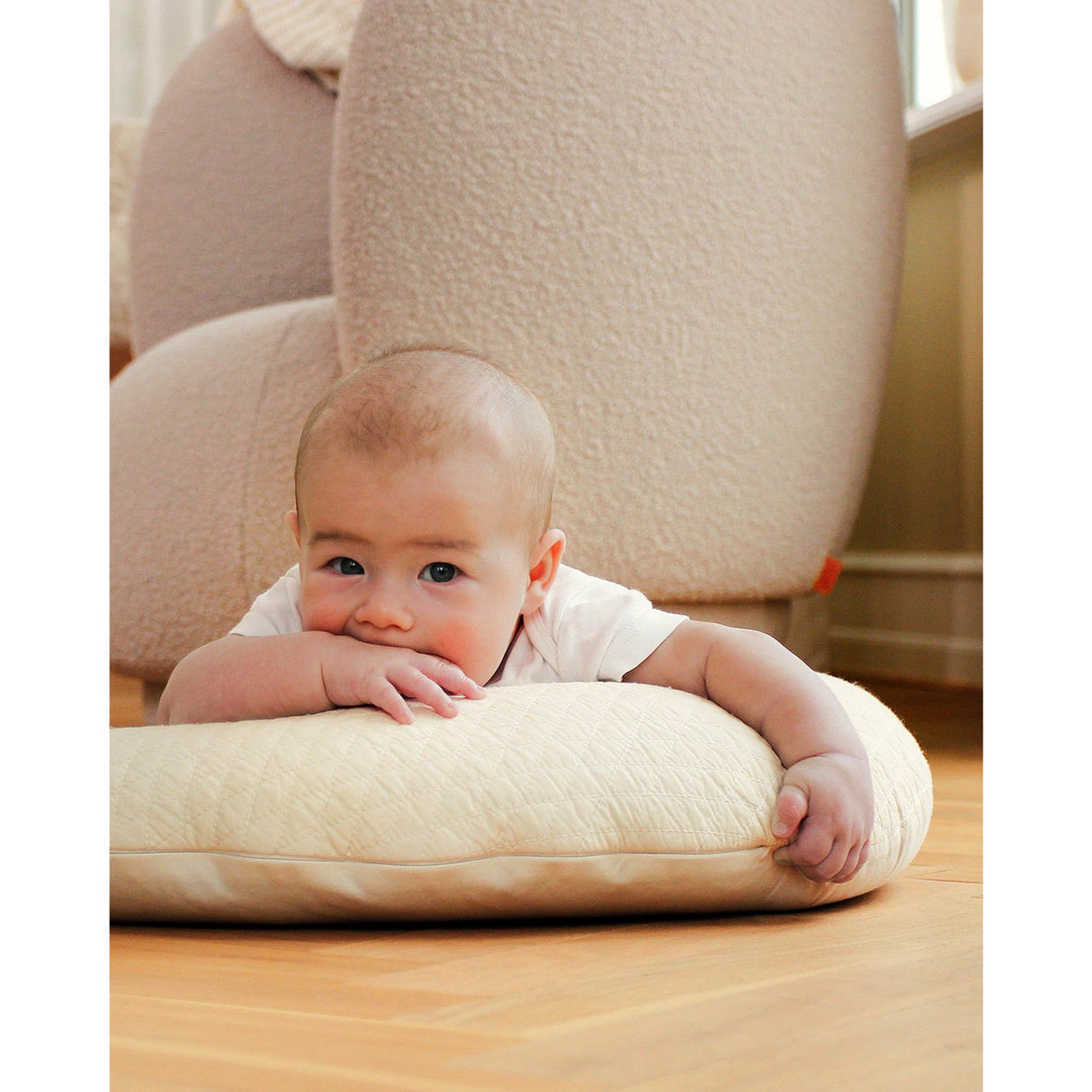 Moonboon Rose Cloud Ammepude