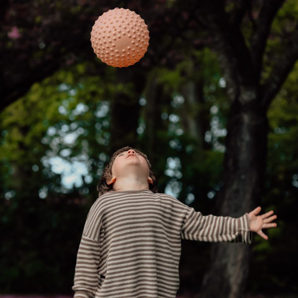 Find that Hippo Stor Sansebold - 1 Stk. Pakke, Farve Desert Sand