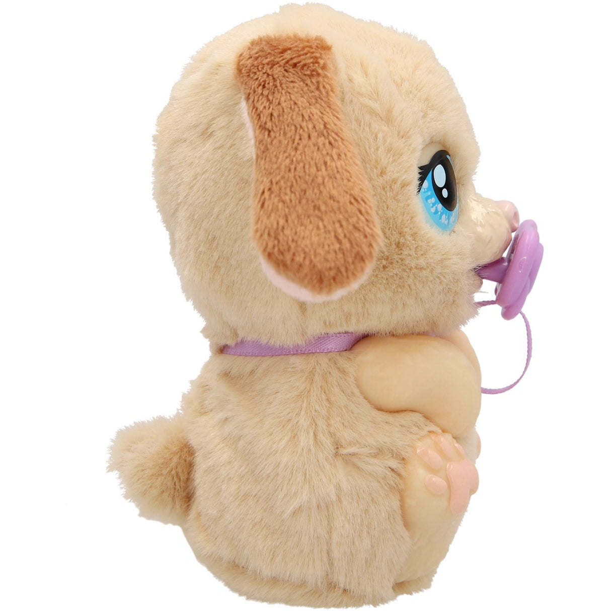 Baby Paws Just Born Hvalp